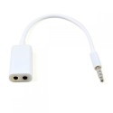 Converter Headphone Audio Splitter 3.5mm ke 2 x 3.5mm